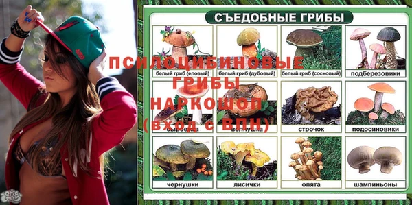 гашик Абдулино