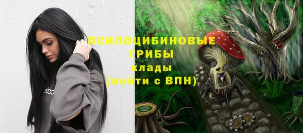 прущая мука Абаза