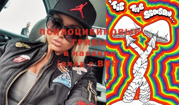 шишки Алзамай
