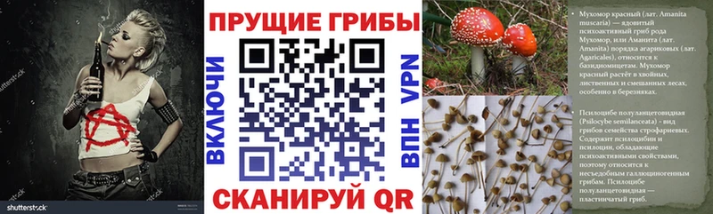 Галлюциногенные грибы MAGIC MUSHROOMS где можно купить Новоалтайск