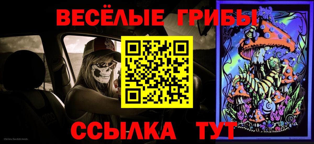 Галлюциногенные грибы Psilocybe  Вход с VPN  Новоалтайск 